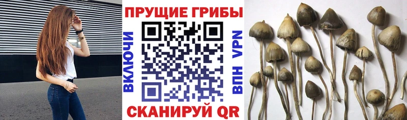 нарко площадка телеграм  где купить наркоту  Ивантеевка  Галлюциногенные грибы ЛСД 